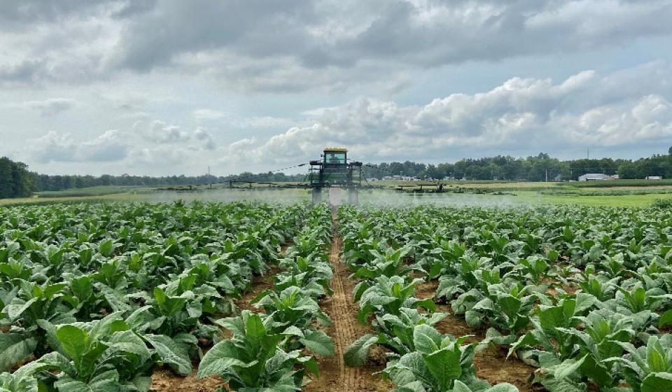 Tractor Spraying a Field